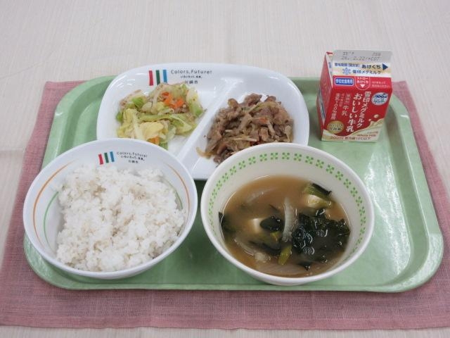 給食写真